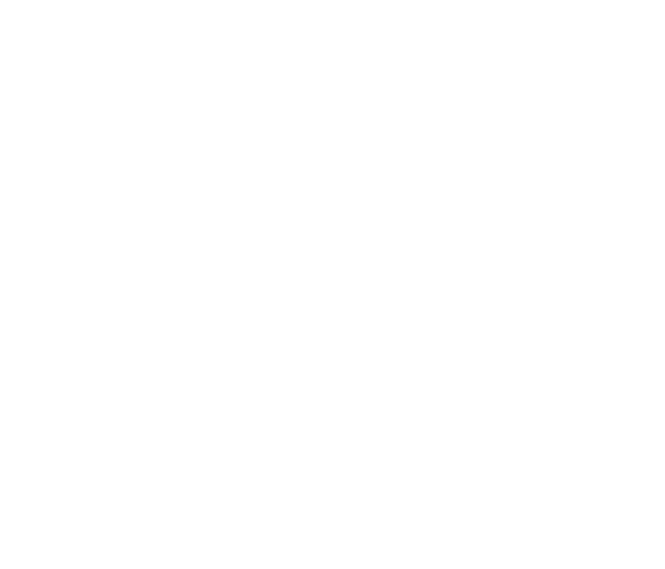 ALMAX logo